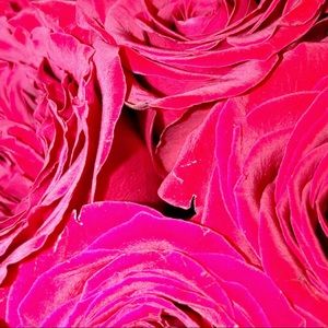 Meet your Posher, Alexa